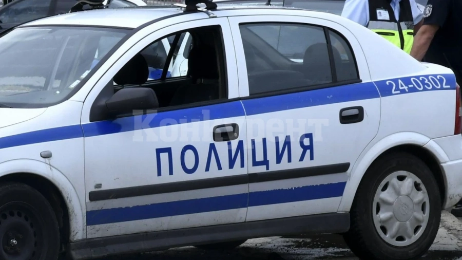 В Монтанско разкриха 10 престъпления за ден при спецакция