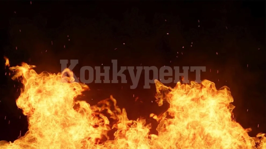 Осем души загинаха при пожар в чешки град
