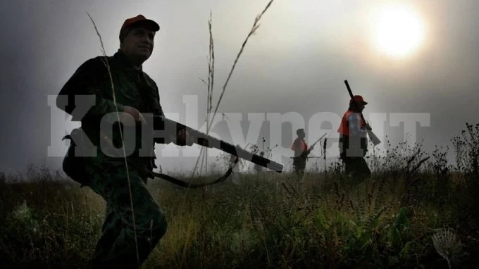 В Монтанско популацията на дива свиня все още е ниска