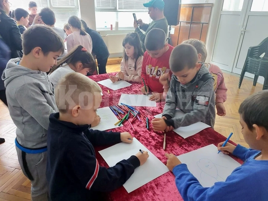 Урок по анимация проведоха в Берковица
