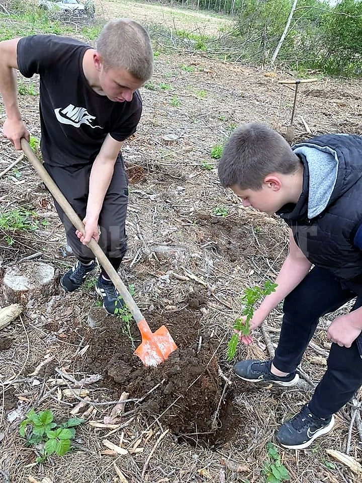 Ученици от ПГ „Васил Левски“ - Мездра засадиха 100 дръвчета в землището на Долна Кремена