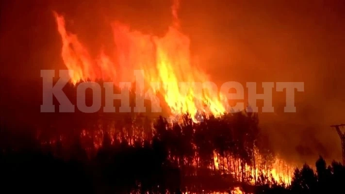 Над 550 души бяха евакуирани при пожар в Испания