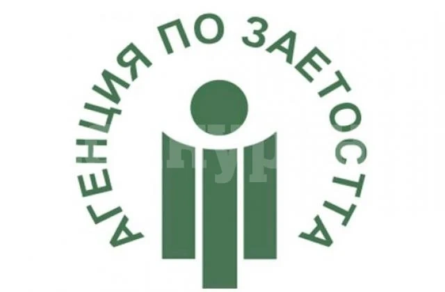 Организират трудова борса в Криводол