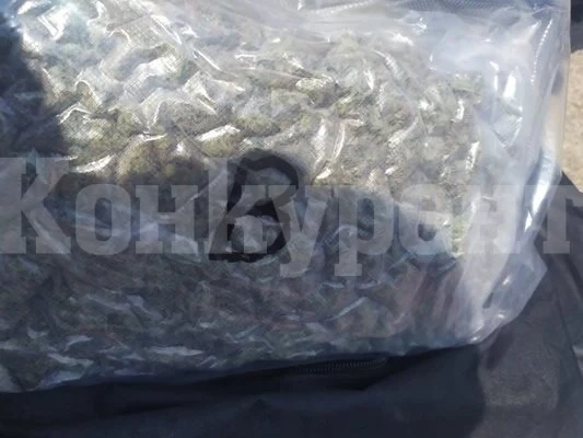 Заловиха 123 кг трева на Дунав Мост СНИМКИ