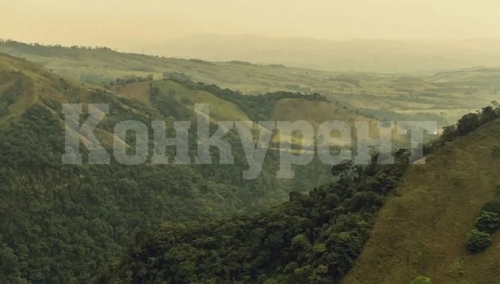 Откриха 4 деца, живяли 17 дни в джунглата след самолетна катастрофа