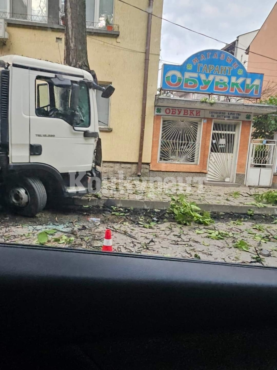 СНИМКИ От ранни зори! Шофьор на камион се заби в дърво, в болница е