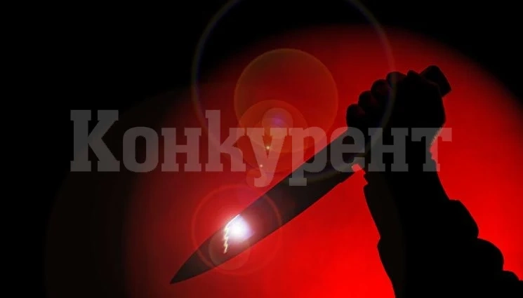 Тийнейджър закла семейството си, отне живота и на съседка