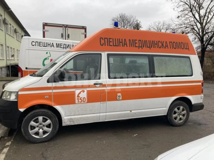 Мъж почина, затиснат от дърво в Софийско