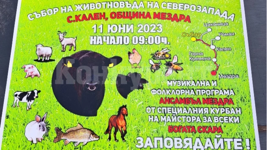Събор на животновъда започва в мездренско