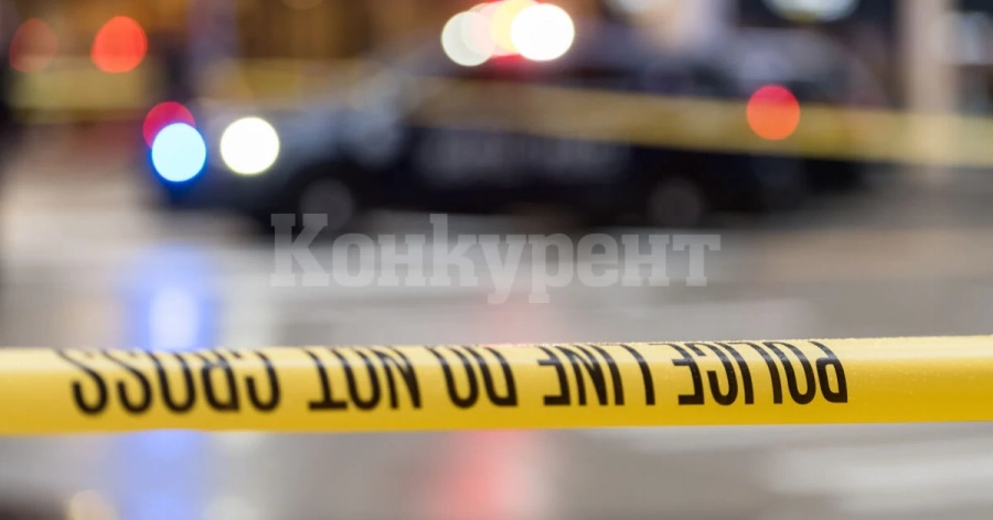 Двама убити при стрелба на армейски полигон в Япония