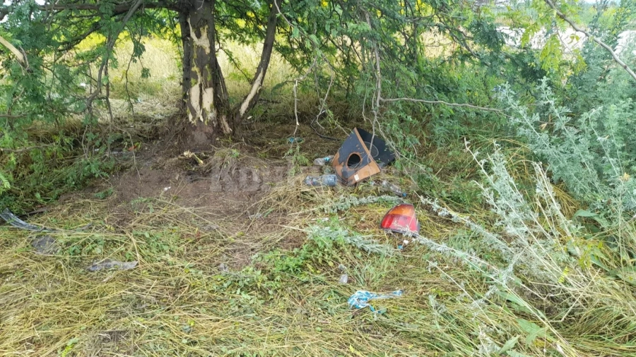 Първа версия за кървавата среднощна трагедия с две загинали деца край Козлодуй СНИМКИ