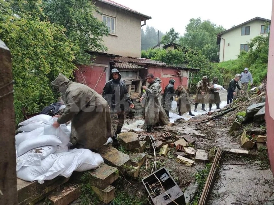 Благодарствен адрес от Камелия Каменова