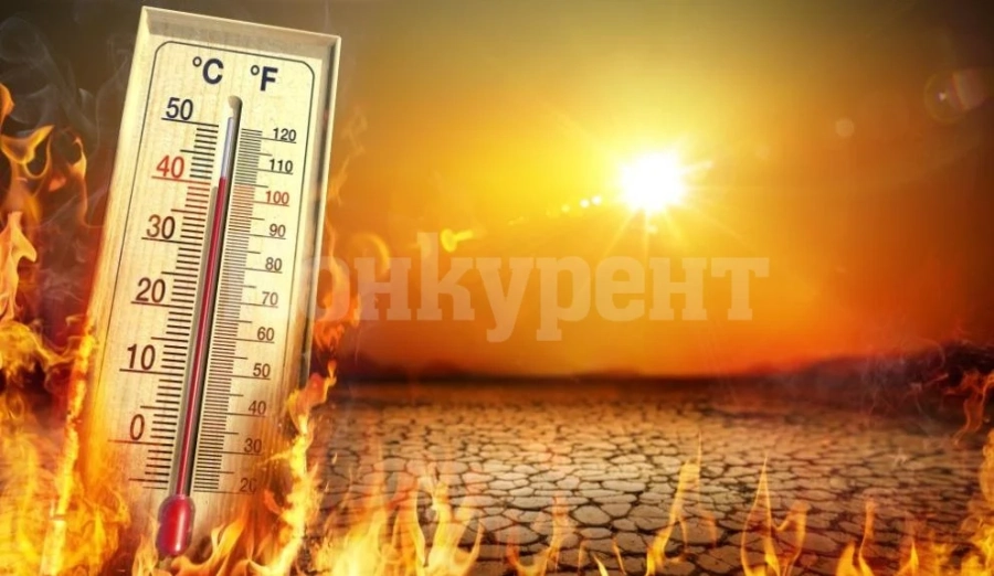 Гореща вълна уби близо 100 души в Северна Индия