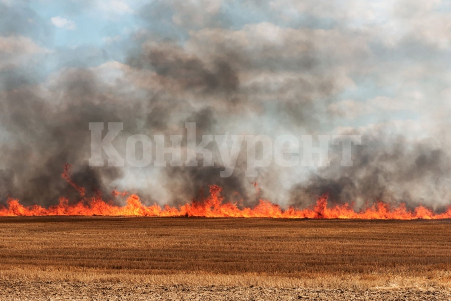 Пожар бушува в нива край Гложене