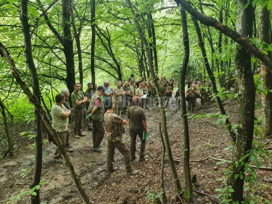 Съвещание по стопанисване на горите в СЗДП бе проведено на територията на ДГС -Борима