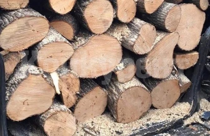 Откриха 3 кубика незаконни дърва в къща във Видинско