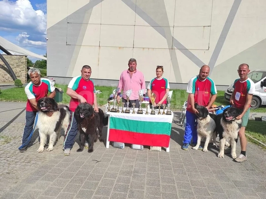 Призови места за овчарски кучета от Берковица в Полша