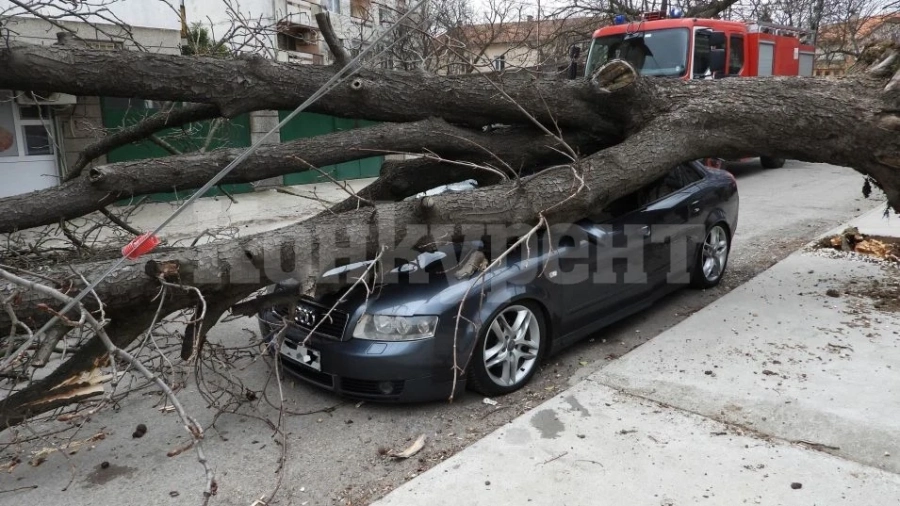 Тежко дежурство: Огнеборци отстраняваха куп паднали дървета във Видинско, едното натресло „Ауди“