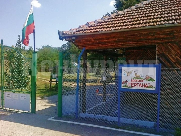Канят децата от Мизия на безплатна екскурзия до Зоопарк „Гергана“