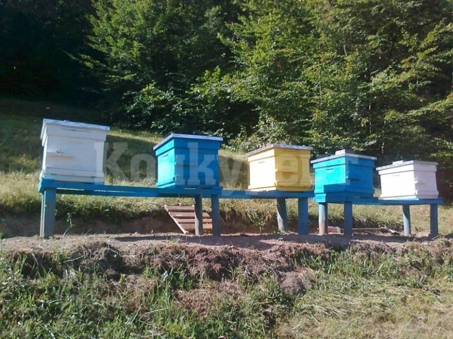 ВАЖНО съобщение от Община Видин