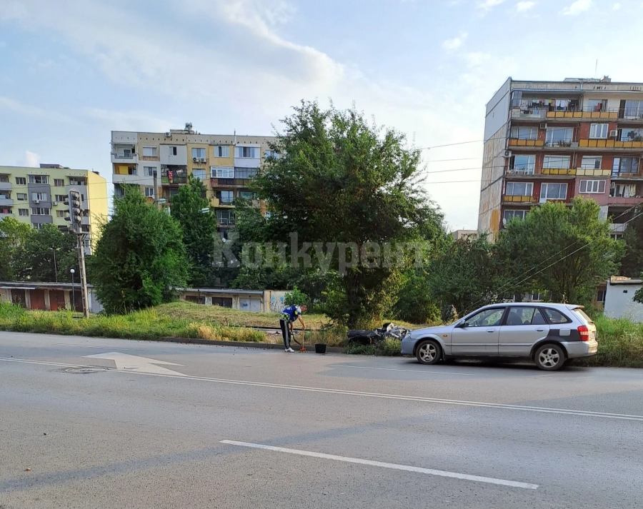 Сръчен врачанин си набра джанки за ракия на оживен булевард СНИМКИ