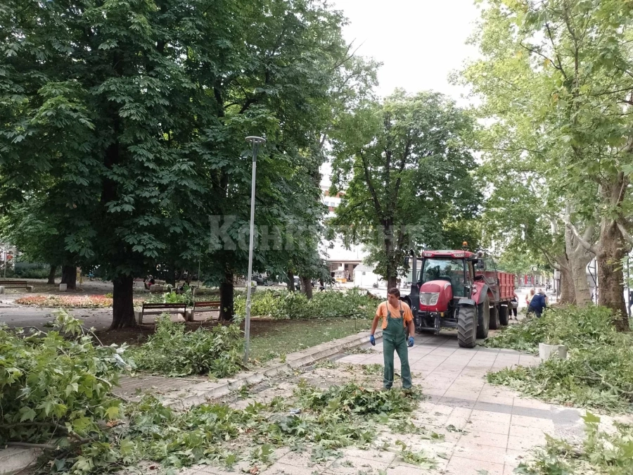 Мощен вятър удари Монтана СНИМКИ