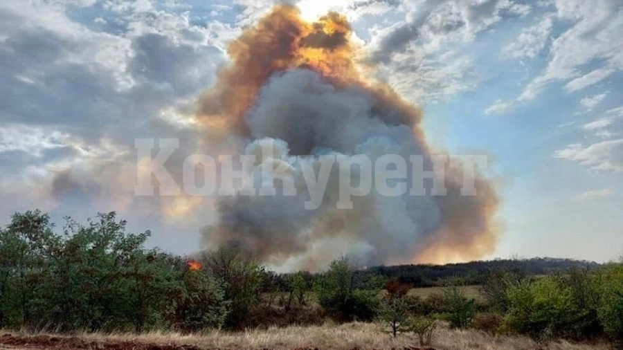 Пожарната служба в Козлодуй с ВАЖНО предупреждение