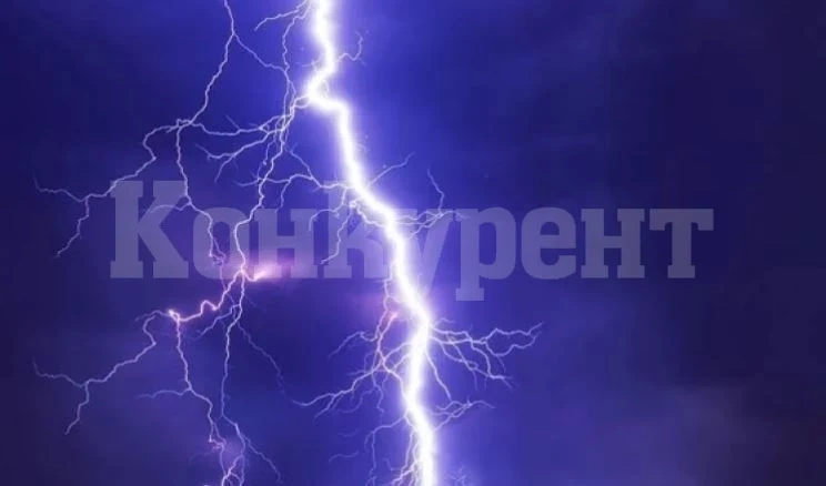 Мълния разцепи огромно дърво на метри от младежи в Смолянско