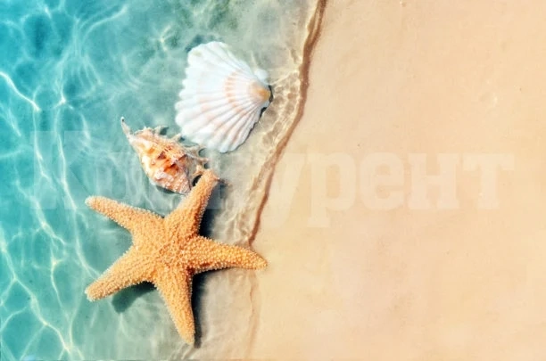 Морската вода – чудодейно средство срещу астма и стрес
