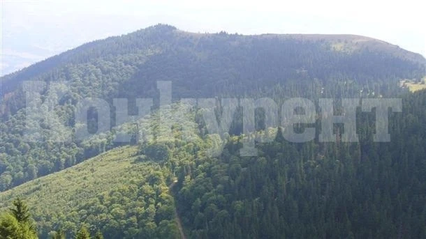 Празник на Балкана ще се проведе под Ком