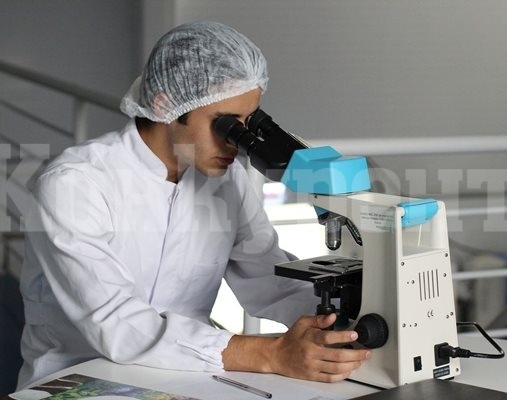 50 души в света живеят с уникалната златна кръв