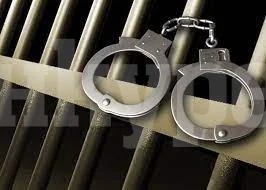 Хванаха двама пияни шофьори във Видинско