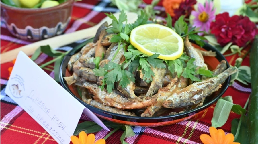 Фестивалът на рибата в Остров- прясна риба, вкусна чорба и много настроение