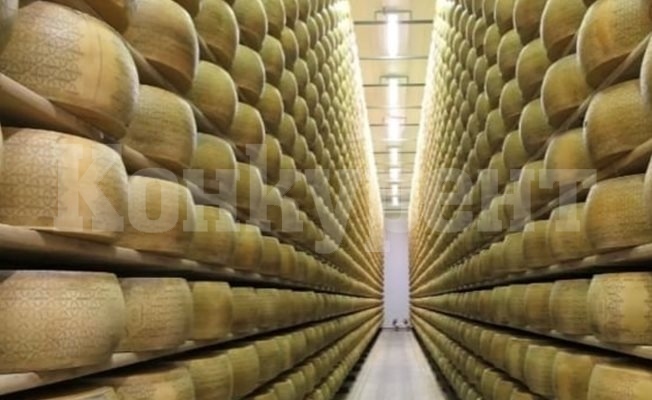 25 хиляди пити зряло сирене „Грана Падано” се стовариха върху италиански производител