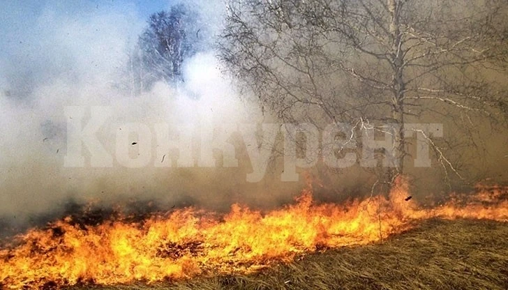 8 пожара в сухи треви вилнели за ден в Монтанско