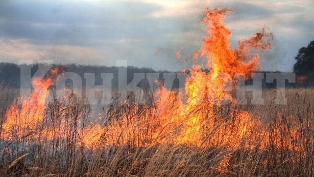 Огнеборци гасиха запалено стърнище във Видинско