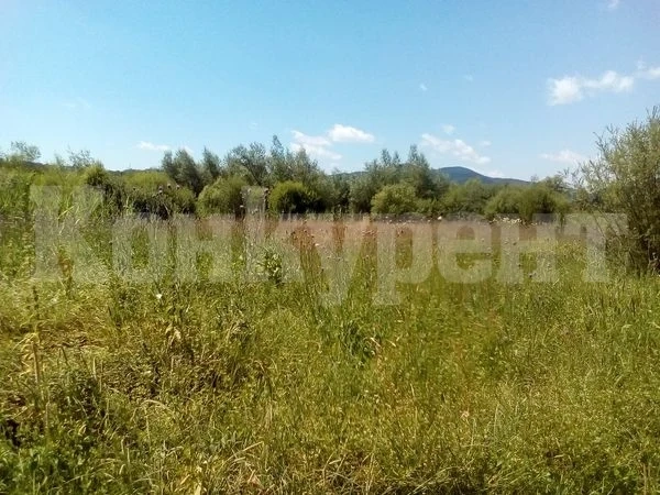 Продават на търг общински имот в Якимово