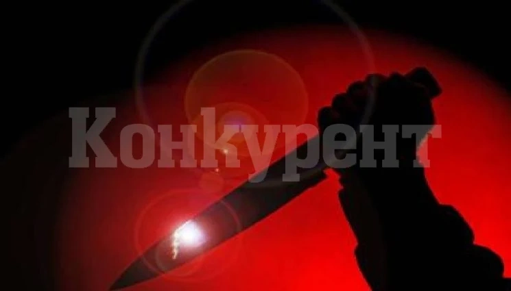 Разкриха детайли за ученичка, която уби най-добрата си приятелка и я натъпка в куфар