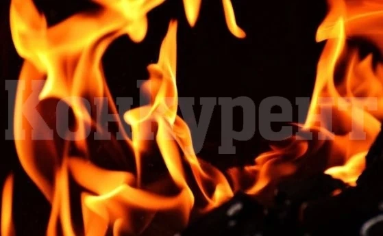Трима загинали при пожар в град на Френската Ривиера