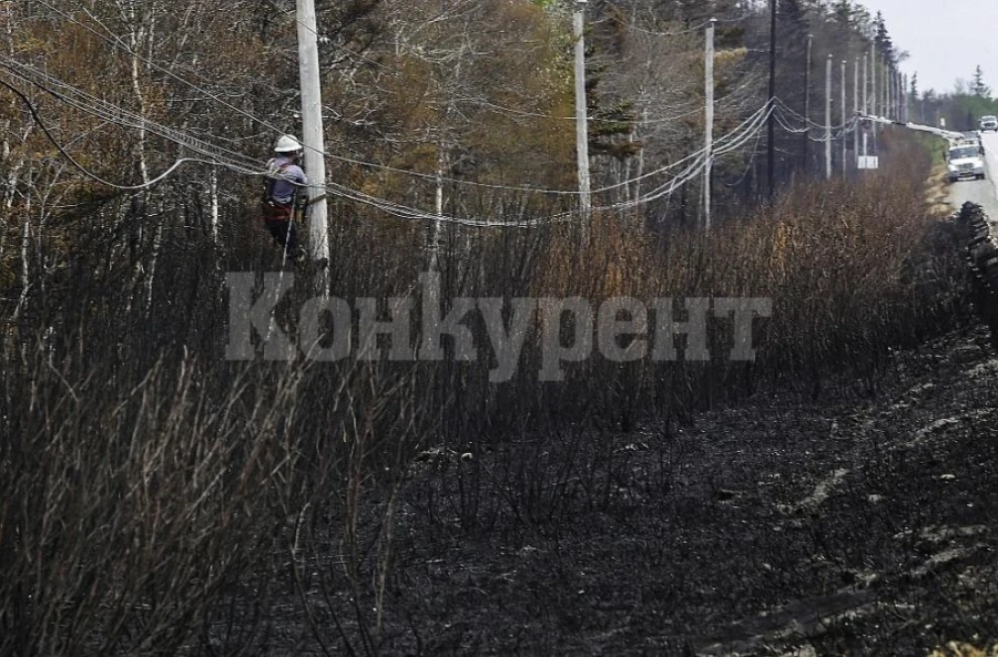 Северозападна Канада обяви извънредно положение заради горски пожари