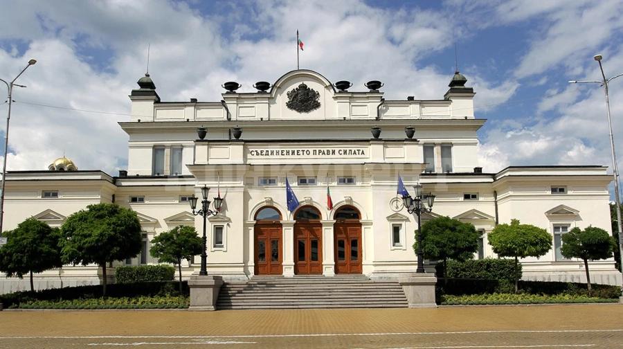 Вижте имотите, колите и парите на видинските депутати