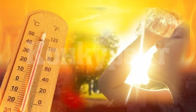 НИМХ каза какъв мор се задава в неделя