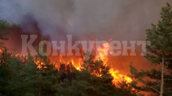 Червен код за опасност от пожари следващите дни, властите с призив