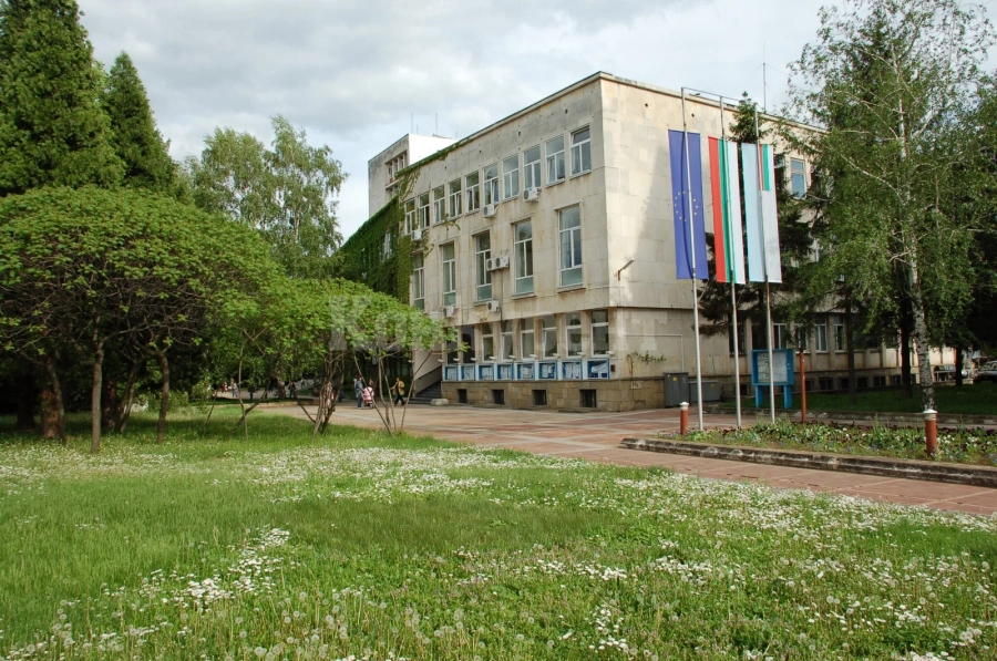 На търг отдават общински имоти в Монтана - вижте обявата