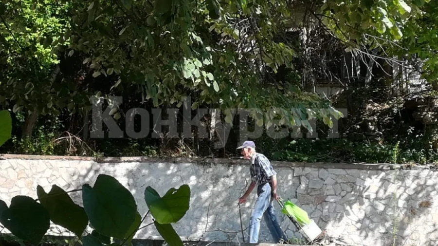 Село Толовица - поредното гаснещо съкровище на Северозапада
