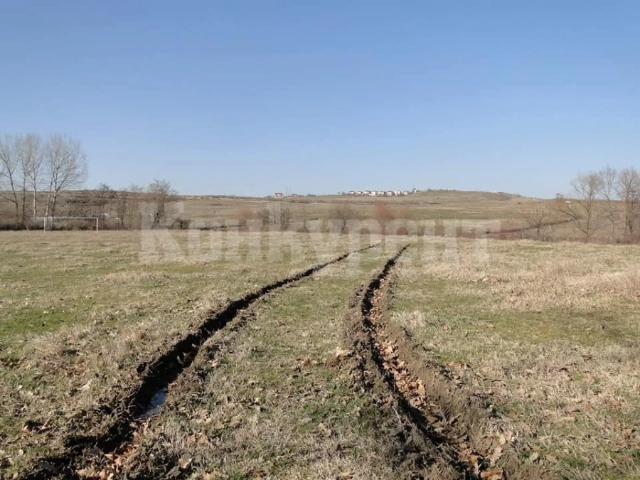Търсят наемател на прасище за 10 години - вижте обявата