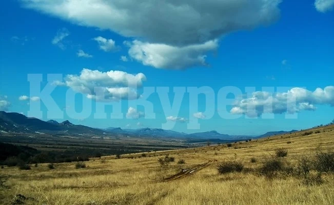 Лисици нападнаха село Горно Белотинци в Монтанско