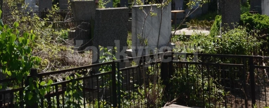 Почистват Паметника на загиналите в Сръбско-българската война във Видин