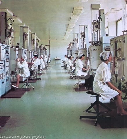 Пеницилинът, първият антибиотик в света, е произведен в България на 4.09.1954 г.