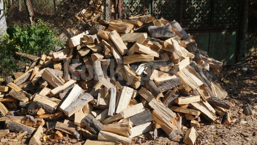 Намериха незаконни дърва в къща във Видин